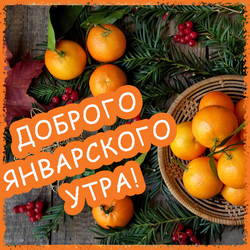 Good January morning! Card with tangerines!