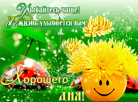 Beautiful summer card with yellow dandelions, ladybirds and a flower vase smiley! GIF picture, GIF with a wish of a good day!