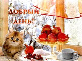 Good day! Winter morning outside the window, the sun is shining, the snow is sparkling. A beautiful postcard for you, a picture with a cat by the window, with delicious ripe pomegranates and a mug of delicious black tea!