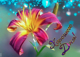 Have a nice day. Live picture, GIF, GIF with a beautiful flower (with a pink lily).