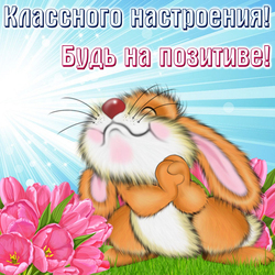 Have a good mood! Be positive! Postcard, picture with a sunny morning (afternoon), with a cute bunny (hare) and pink tulips (flowers).