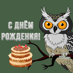 Happy birthday to the man. Birthday card with an owl. Congratulations for the man.