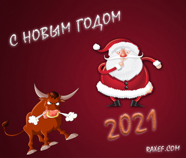 Happy new year of the bull 2021 greeting card.