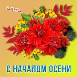 Postcard with the beginning of autumn! Beautiful autumn picture with a bouquet of flowers! I wish all people to spend this time of the year in a positive, in a good mood, with ...