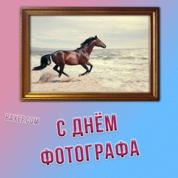 Happy photographer's day (postcard, picture, congratulations)