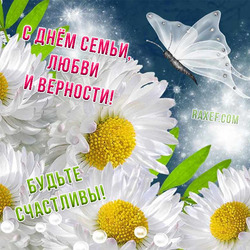 Happy family day, love and fidelity! Greeting card with white daisies and a delicate butterfly for the holiday on July 8!