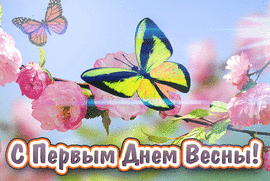 Postcard with butterflies for the first day of spring. GIF picture.