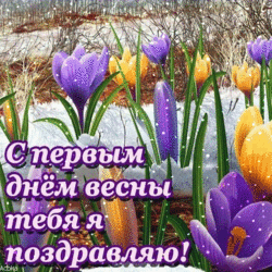 Postcard with flowers for the 1st day of spring. GIF picture.