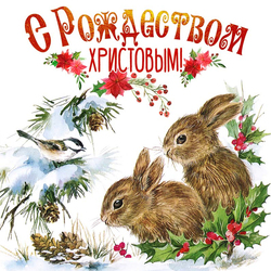 Postcard with bunnies for Christmas, on January 7! Happy holiday everyone!