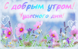 Good summer morning. Delicate card in pink and blue colors. Picture with flowers.