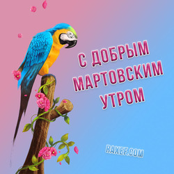 Good March morning! Postcard with a beautiful parrot for you, your family, friends and colleagues! Good morning March! March!