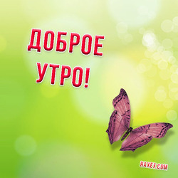 Good morning. Postcard with a butterfly! Good morning everybody! Picture.