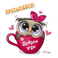 Good morning. Funny card with a bright owl in a rose mug and with the inscription good morning!