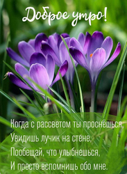 Good spring morning. Postcard. Picture. A beautiful postcard with a verse for the dearest person!