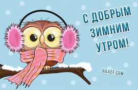 Good winter morning. Good winter morning! Postcard with an owl! Snow winter.