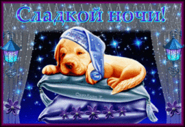 Good night. Postcard. Picture. Postcard with a cute dog in a nightcap! Spocky knock everyone!