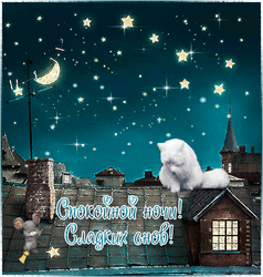 Goodnight! Live postcard, picture, gif, gif with night roofs and a white cat)