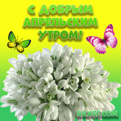 Good April morning! Picture, postcard with butterflies and snowdrops, with a beautiful inscription! Download for free! ...