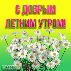 Good summer morning! Summer picture with daisies! Chamomile! Postcard! Summer! I just wish you well! Anyone who ...