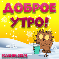 Good winter morning with an owl, good winter morning owl in pictures, winter cards with owls good morning! From the heart ...