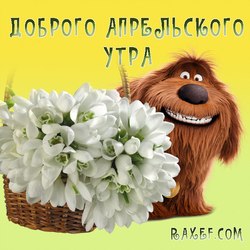 Good April morning! Snowdrops and Dog Duke from The Secret Life of Pets! Postcard for ...