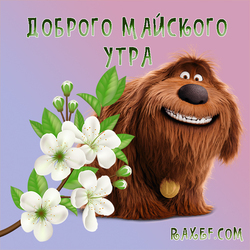 Good May Morning! Postcard with apple flowers and a funny dog Duke from the cartoon "The Secret Life of Pets ...