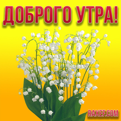 Good morning! Good morning! Flowers! Lilies of the valley! Spring flowers! Picture, postcard for a woman! Dear women, I wish ...