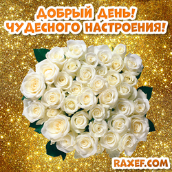 Good day! Have a wonderful mood! Gold postcard, picture! White roses!