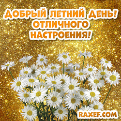 Good summer day! Have a good mood! Have a nice summer day! Postcard with daisies, picture with a gold background! Gold!
