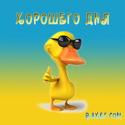Have a nice day! Postcard with a duck wearing glasses. Cool duck, duckling. Friends, let's look at the world positive ...