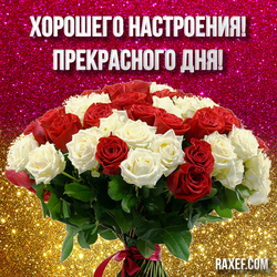 Have a good mood! Have a nice day! Postcard with flowers, with roses! Bouquet of roses! Have a great day!