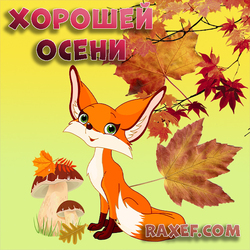 Have a nice autumn! Postcard with a fox and autumn leaves! A picture for everyone who needs a good autumn mood!