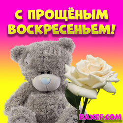 Picture for Goodbye Sunday! Happy Sunday! A picture with a Teddy bear and a white rose! ...