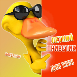 Summer greetings! Cool postcard with a duck! A cool duck in dark glasses sends summer greetings to the one you send ...