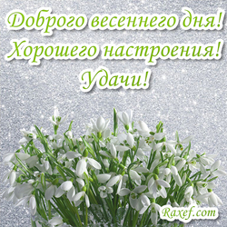 Postcard for a good spring day! Have a good mood! Good luck! Picture with snowdrops! Snowdrops!
