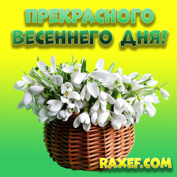 Postcard! Have a wonderful spring day! Snowdrops! Good spring day! Picture with snowdrops! Bright, juicy, ...
