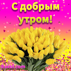 Postcard good morning with tulips! Yellow tulips, flowers, spring, a bouquet of tulips for a woman, a girl, a girl ...