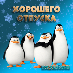 Postcard with penguins! Have a nice winter vacation! Winter! Snowflakes! I wish all holidaymakers a cool ...