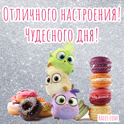 Have a great mood! Have a wonderful day! Postcard, picture with sweets! Sweetheart! Tenderness! Food! Birds!