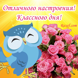 Have a great mood! Have a great day! Postcard with an owl! Owl and roses! Beautiful inscription! Sunny postcard!