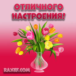 Have a great mood! Postcard! Tulips! Good, wonderful mood to everyone, everyone! Picture with a bouquet of beautiful ...