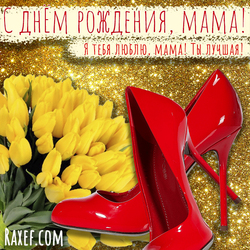 Happy birthday to mom to tears! Bright, brilliant postcard, picture! Tulips! Shoes!