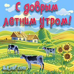 Cool, beautiful, new picture good summer morning! Good summer morning, friends! Postcard with cows in the field, with ...