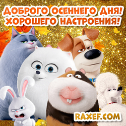Cool postcard! Have a nice autumn day! Good autumn day! The Secret Life of Pets! Picture on a gold background!