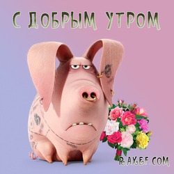 Funny postcard good morning! Funny! With the pig! Pig and a bouquet of flowers))) This is how my figuratively looks ...