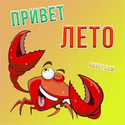 Hello summer! Postcard with a red crab! The crab wishes everyone a cool mood for the whole summer! This is only the first day ...
