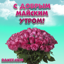 Good May Morning! Picture with roses! Postcard with the spring sky! May in the yard! The last day of spring! Good ...