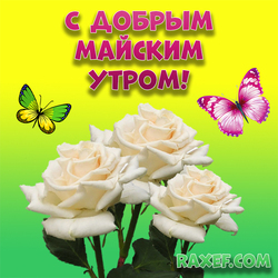 Good May Morning! Postcard with roses, picture with butterflies! You can download it for free! Friends, may our life ...