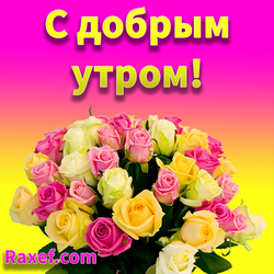 Good morning! Picture with a bouquet of roses for a woman! Is free! Postcard with roses and wishes in prose! May a new day ...