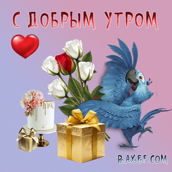 Good morning! Picture with a parrot, roses, gifts and a heart! Beautiful card with cool and interesting ...